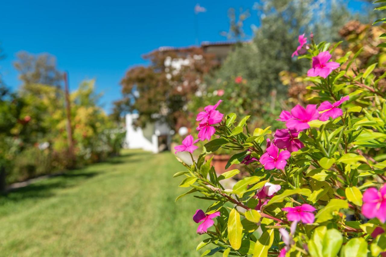 Blooming Memories Apartment Vourvourou Exterior foto